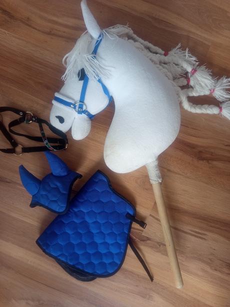 Hobby horse,
