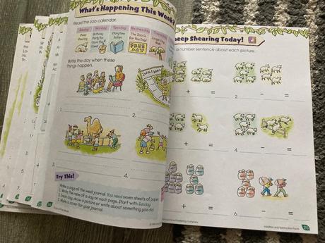 Second grade scholar-ages 6-8 work book,