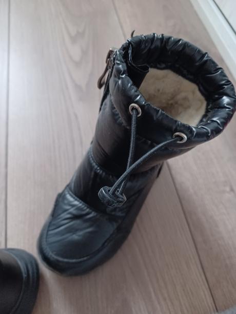 Kornecki veľ.26, kornecki,26