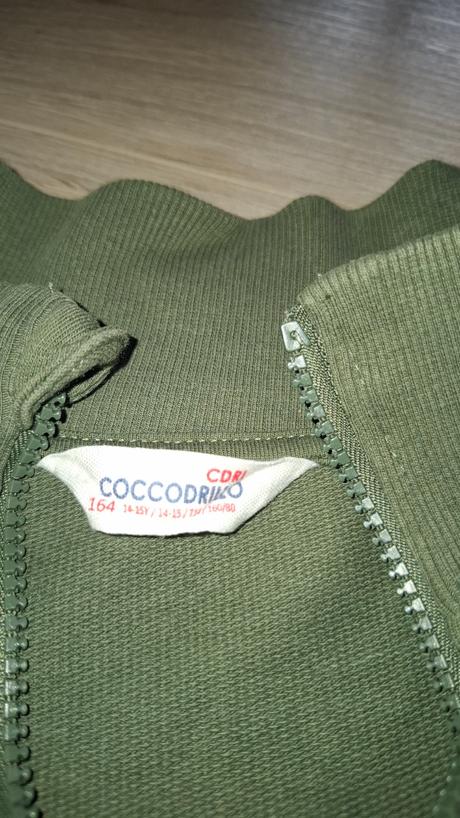 Chlapčenská mikina, coccodrillo,164