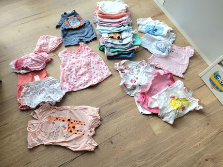 Balik jarny/letny, 50–62