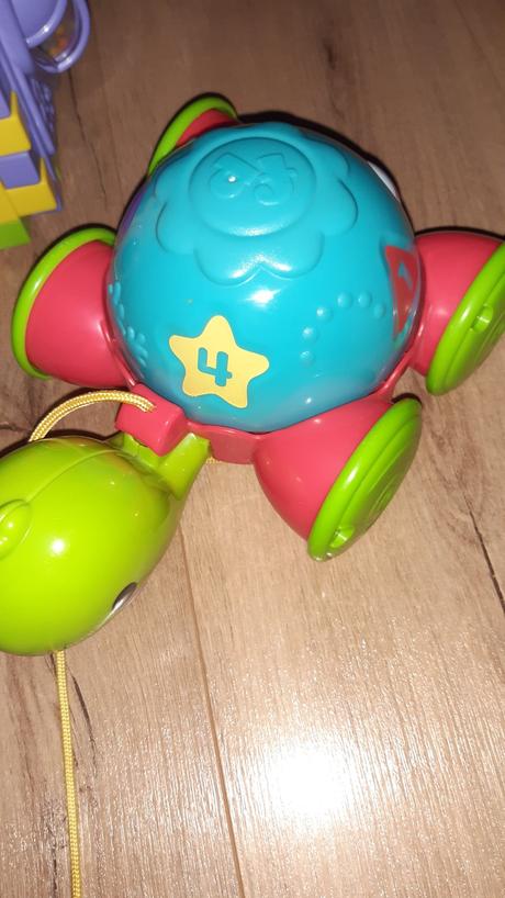 Korytnačka a kocka, 