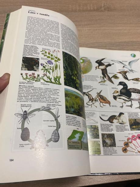Krásna encyklopédia veľký atlas živočíchov, 