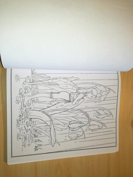 The colouring book for grown-ups, 