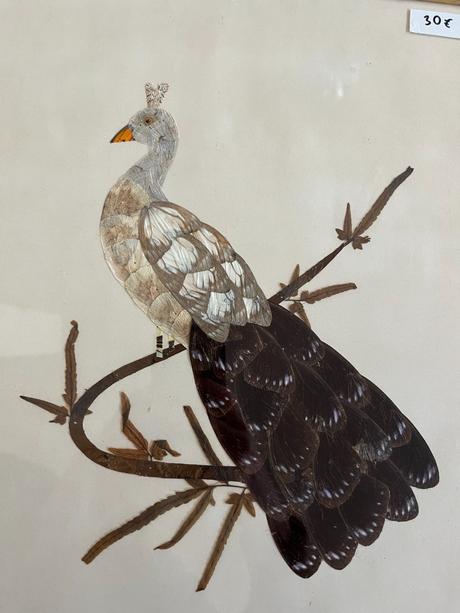 Obraz páva z motýlich krídel, 