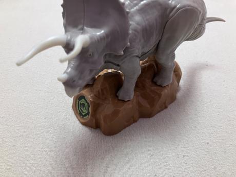 Triceratops kinder, 