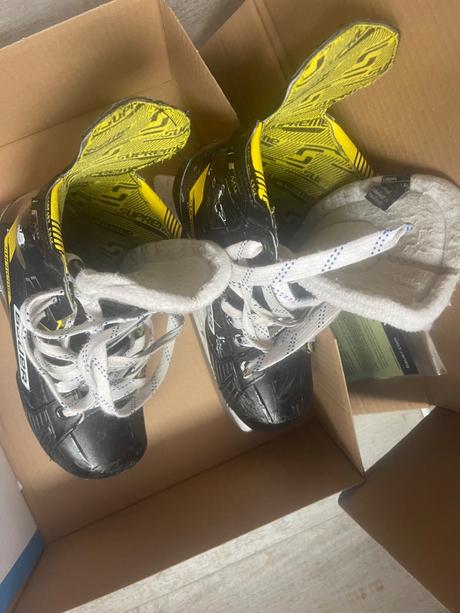 Bauer korcule 3.0, bauer