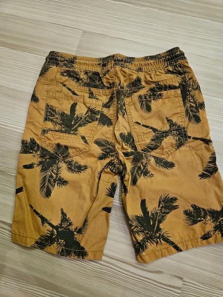 Kraťasy 146, chapter young,146