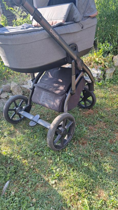 Kocik roan bloom, roan,roan bloom