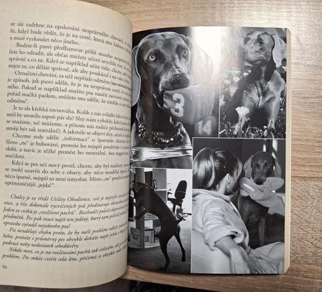 Kniha psí pravidla, 