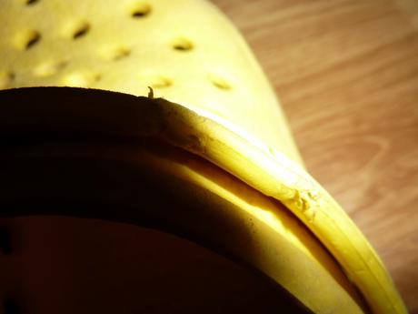 Nasuchovacky zlte, 27