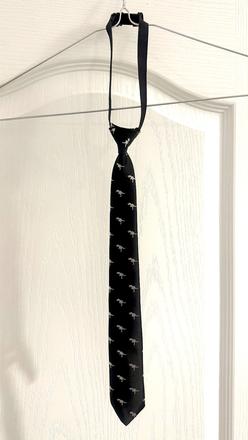 Detska kravata s dinosaurami,