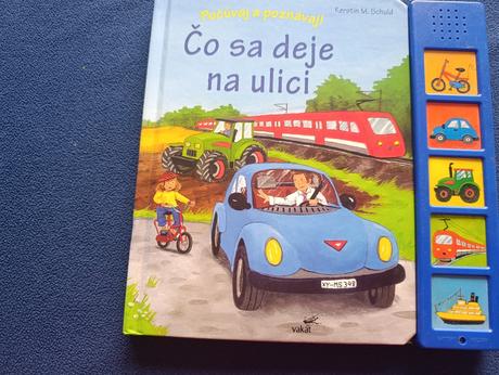 Čo sa deje na ulici. kerstin m. schuld,