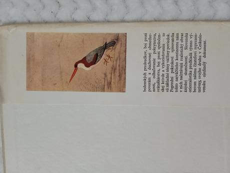 Ázijské poviedky, 1976,