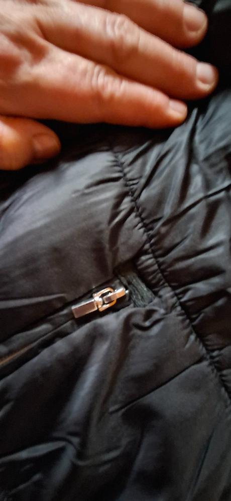 Vesta mayoral, mayoral,164