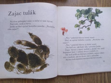 Jahniatko v batohu - mária ďuríčková,