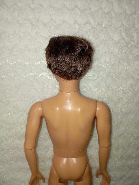 Barbie my scene chlapci ken, 