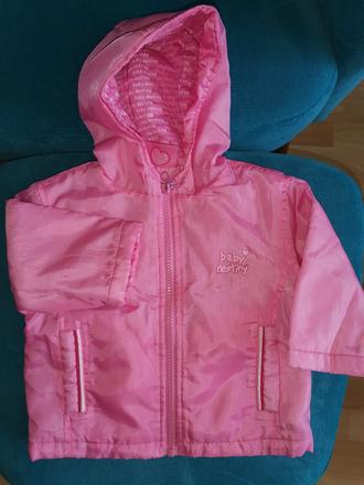 Prechodna bundička, 68