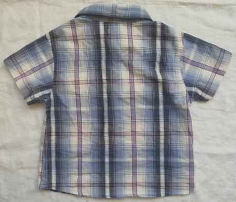 Belasa karovana kosielka, ladybird,86