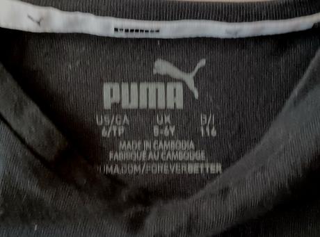 Tielko puma, puma,110