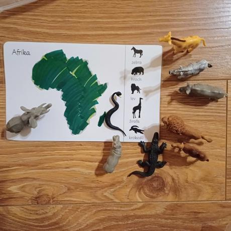 Zvieratá kontinentov, 