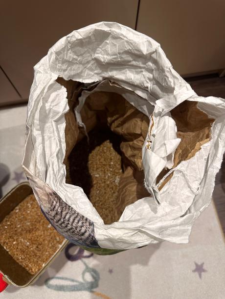 Klietka s príslušenstvom pre andulky,