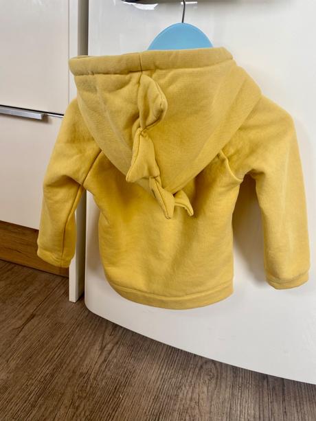 Mikiny drak a medvedík, 68