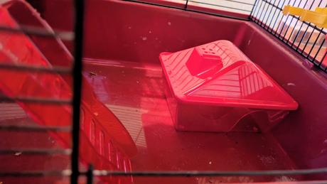 Klietka škrečok, morča, králik, 