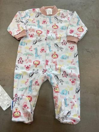 Overal safari, 62 / 74