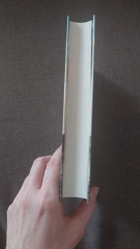 Kniha - marie curie sklodowska a sila snívať, 