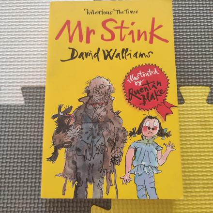 Mr stinks david walliams,
