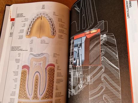 Velký obrazový tématický slovník,