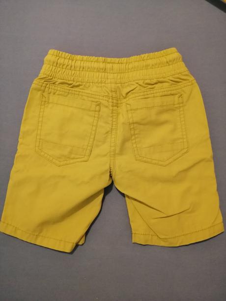 Kratasky 92, palomino,92