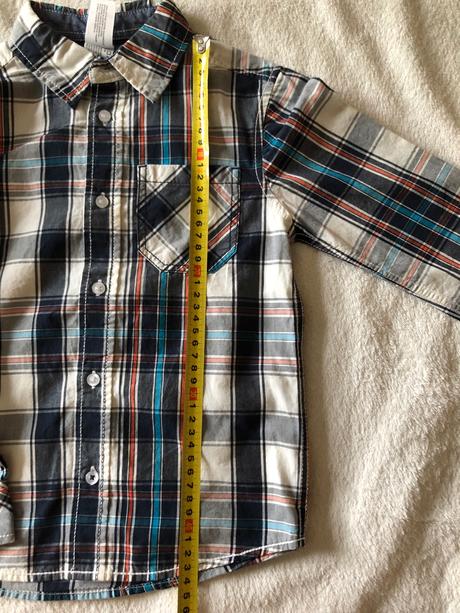 Kosela palomino 110, palomino,110