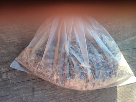 Semienka ibišteka fialového,