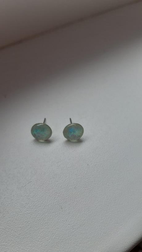 Nausnice trblietave, 