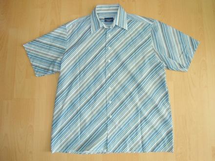 Kosela bledy modry pasik, l