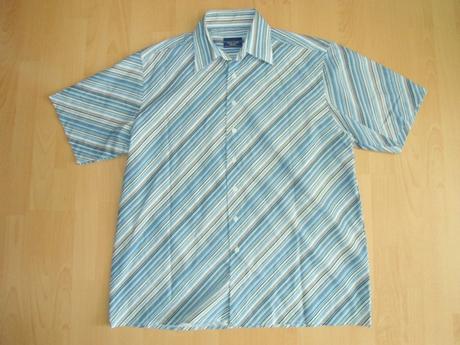 Kosela bledy modry pasik, l