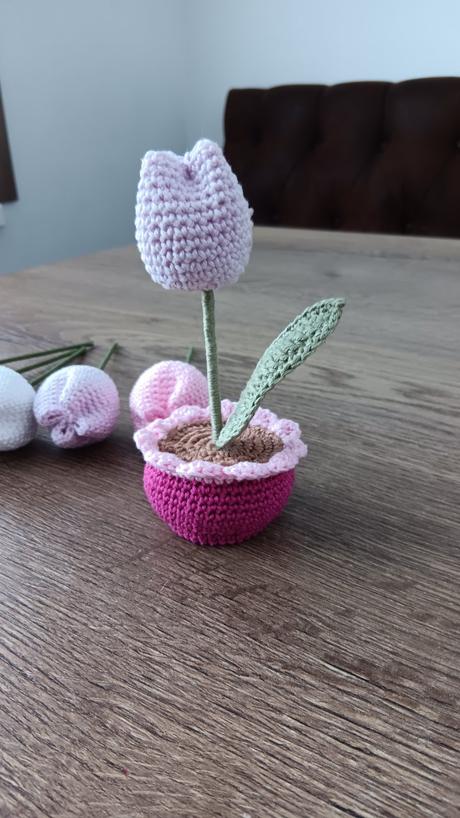 Háčkovaný tulipánik, 