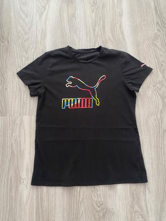 Puma m, puma,m