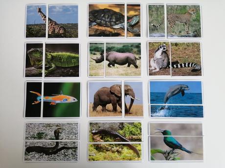 24 ks montessori kartičiek - hlavy/chvosty zvierat,