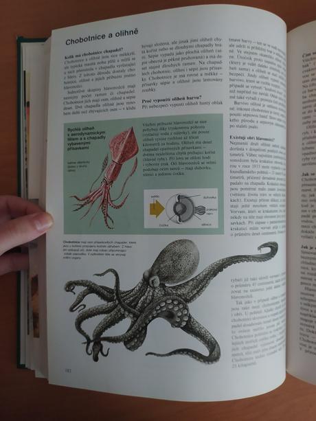 Abc prírody - svet v otázkach a odpovediach (1997), 