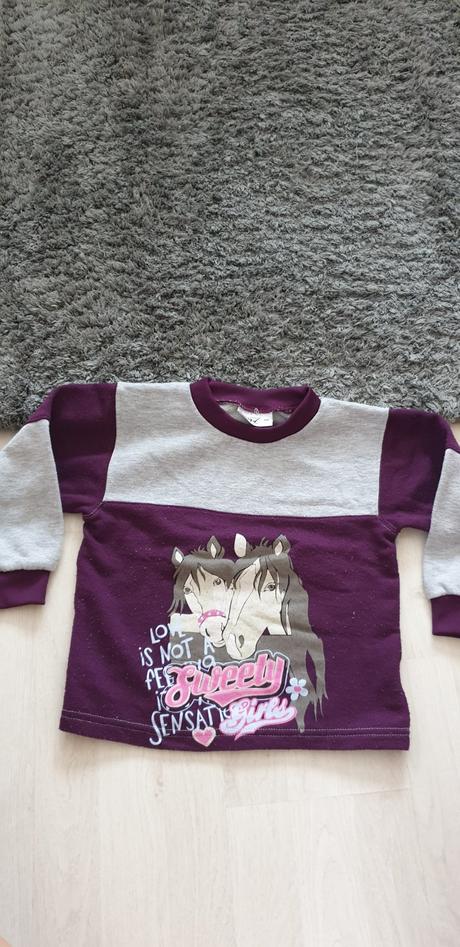 Mikina č.110, okay,110