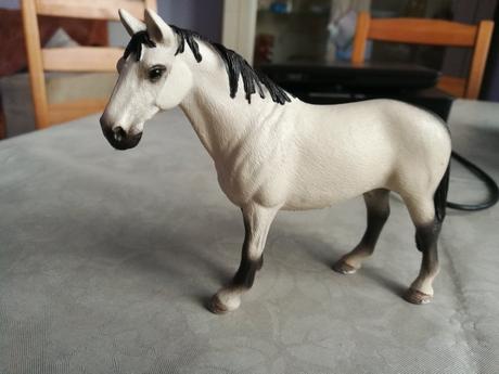 Schleich kon,
