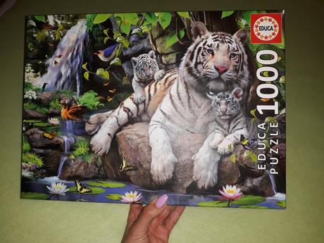 Puzzle biely tiger,