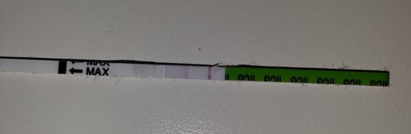 Pepino - neplatný výsledok