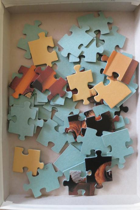 Puzzle, 