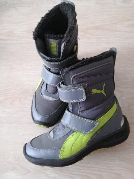 Puma cizmicky, puma,30