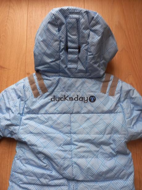 Overal zimny, ducksday,74