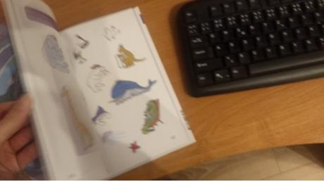 Naša príroda hravo,